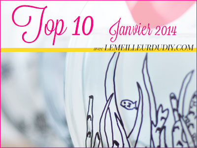 Top 10 DIY janvier 2014