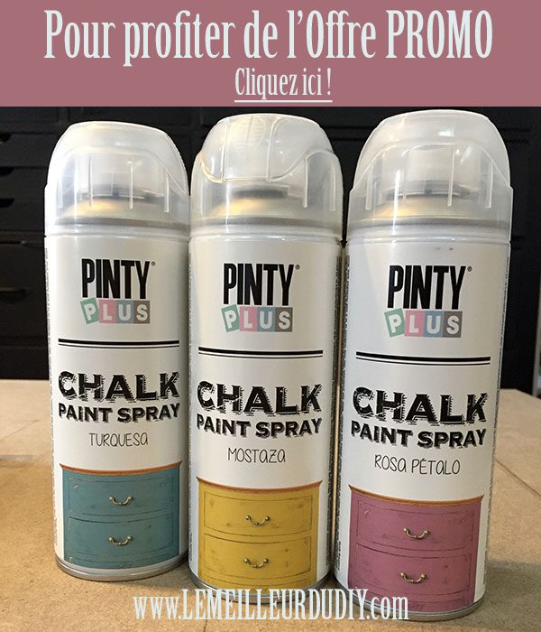 offre promo pinty chalk spray
