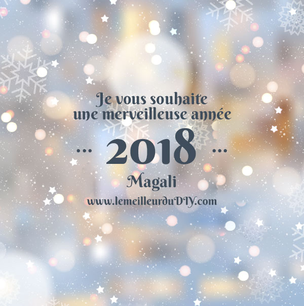 Bonne annÃ©e 2018 de la part de Magali du blog LEMEILLEURDUDIY.COM