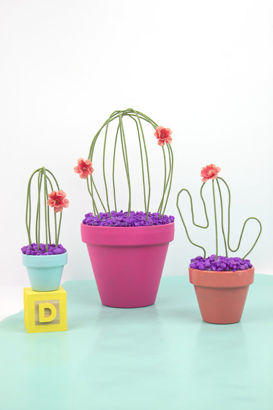 DIY tutorial pour apprendre à fabriquer des cactus qui ne meurent jamais