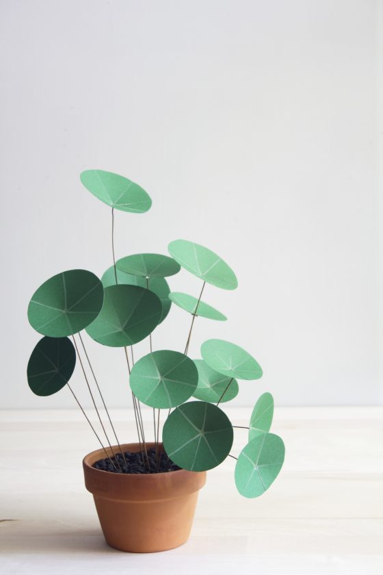 DIY Un belle plante verte de papier