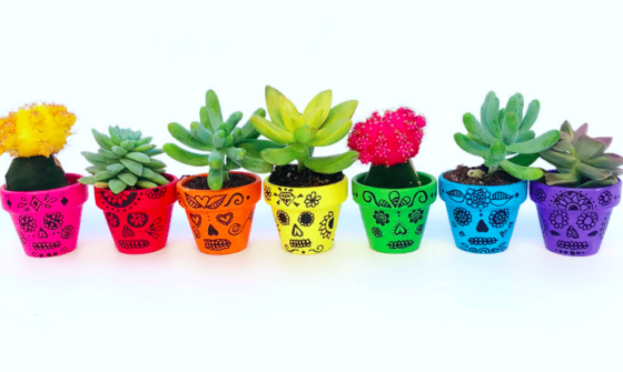 DIY Pots de cactus pour Halloween